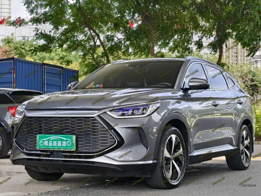 BYD PLUS New Energy 2021