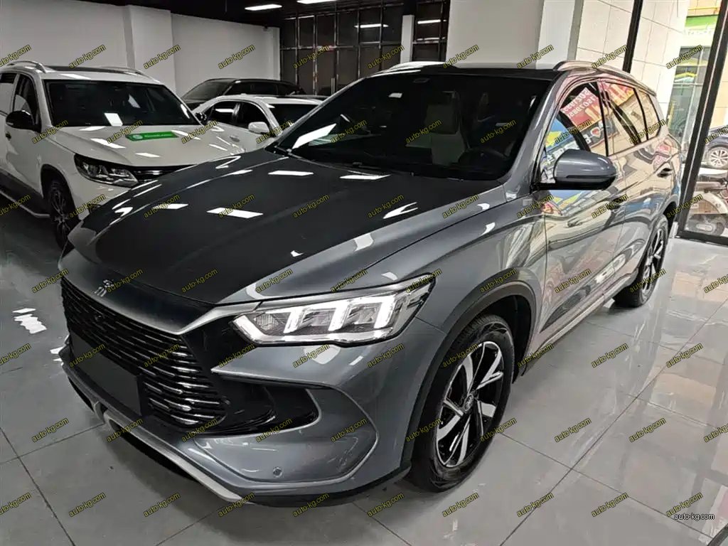 BYD Pro New Energy 2025