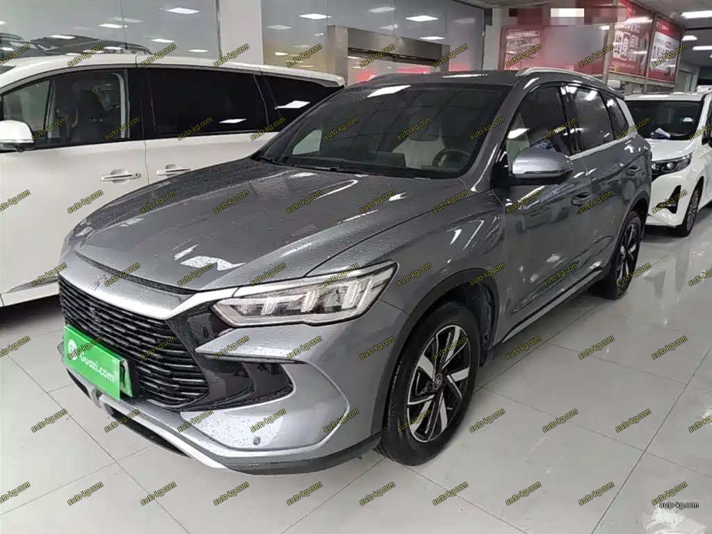 BYD Pro New Energy 2025