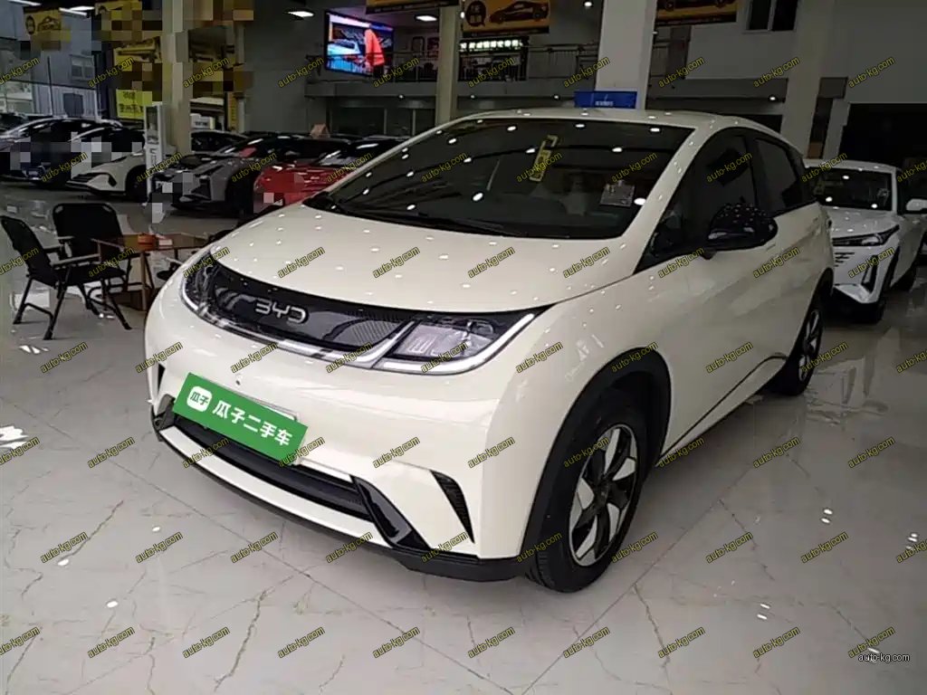 BYD Dolphin 2026