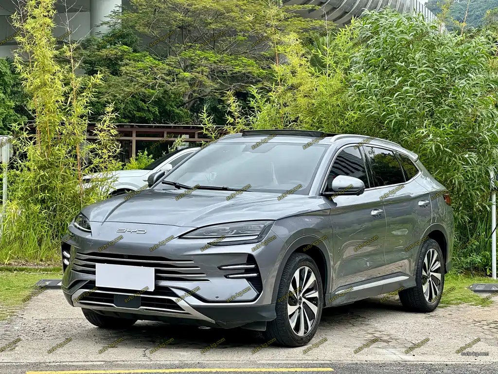 BYD PLUS New Energy 2024
