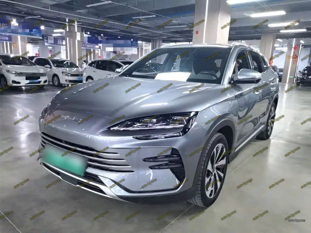 BYD PLUS New Energy 2024