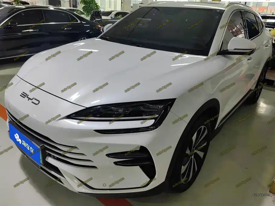 BYD PLUS New Energy 2023