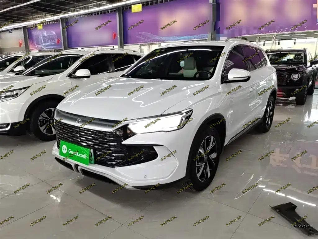 BYD Pro New Energy 2025