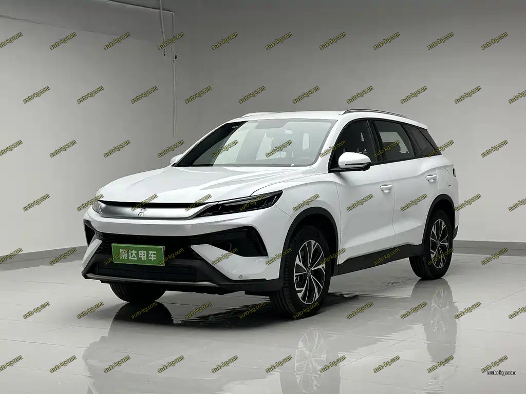 BYD Pro New Energy 2026