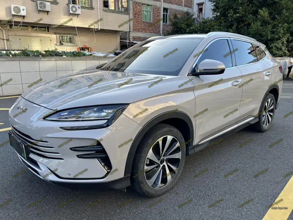 BYD PLUS New Energy 2024