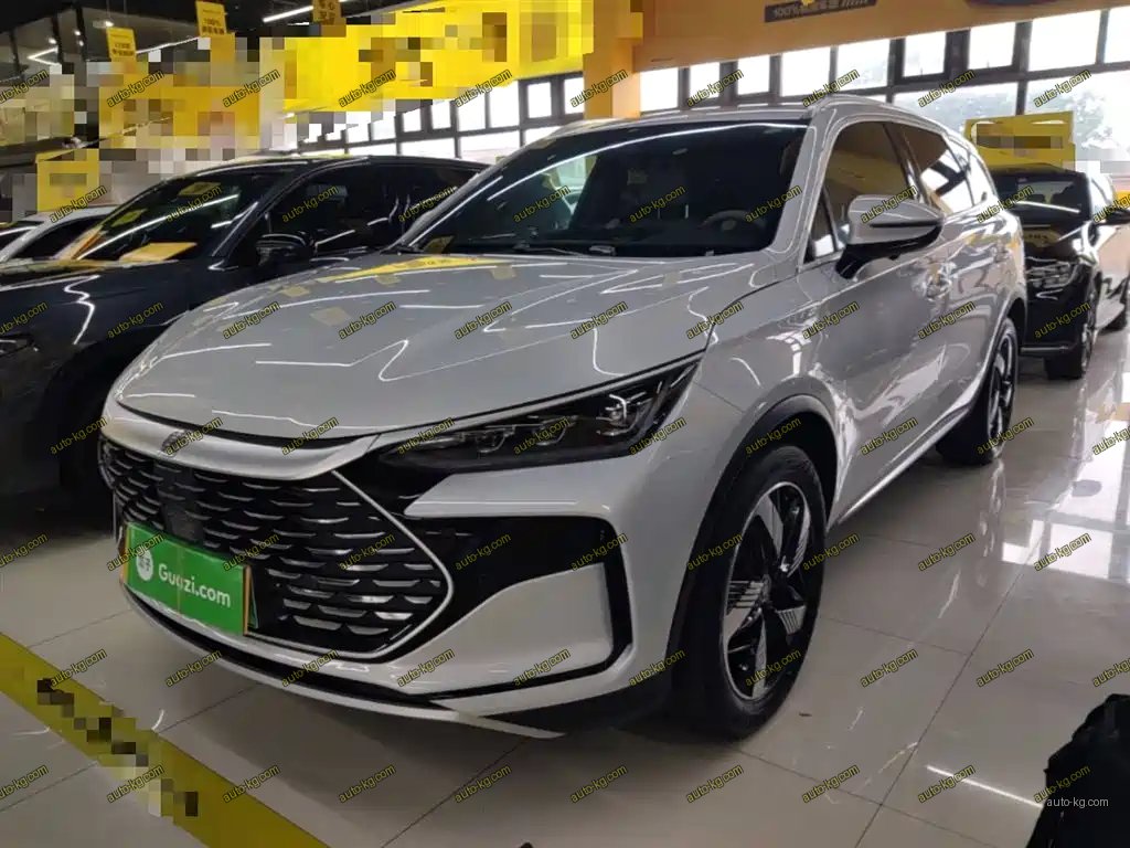 BYD Tang New Energy 2024