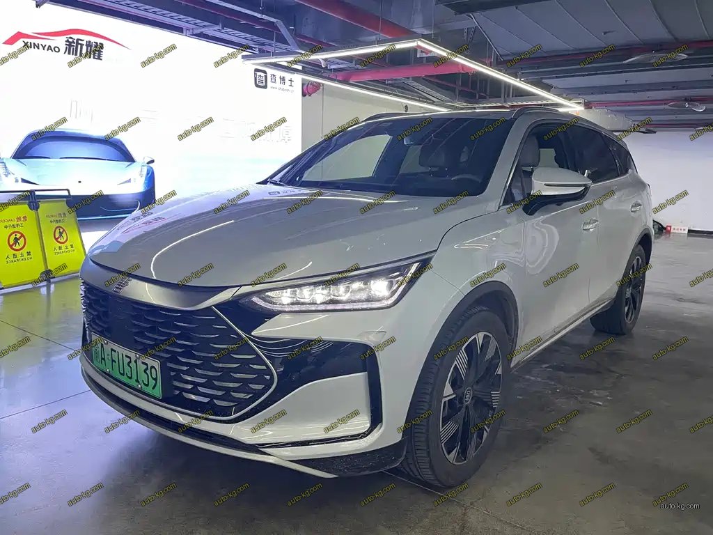 BYD Tang New Energy 2024