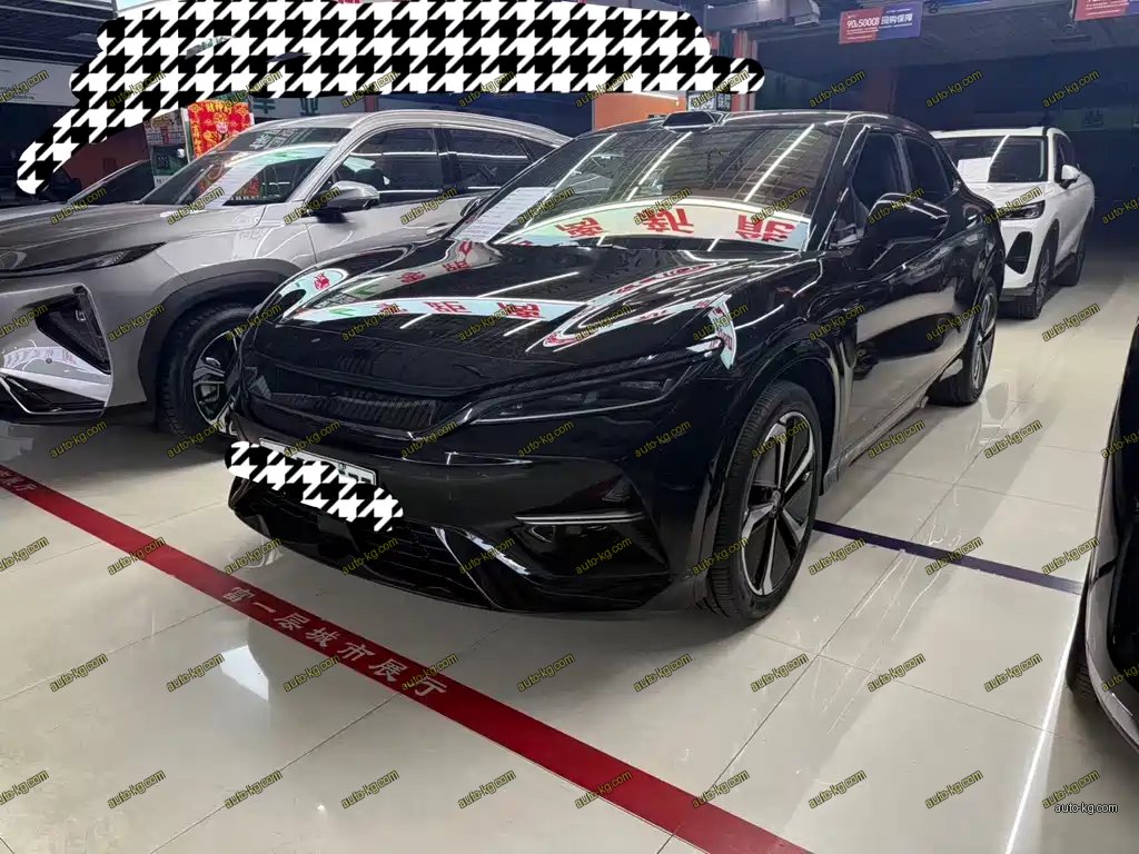 BYD L EV 2025