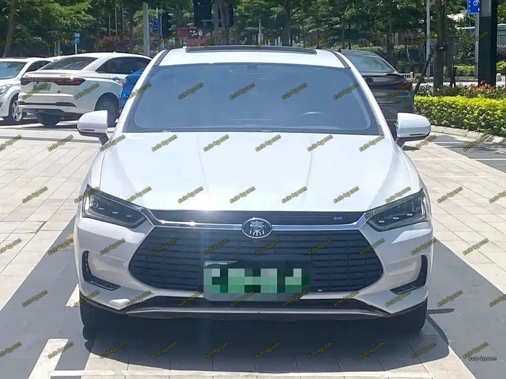 BYD Qin Pro NEV 2021