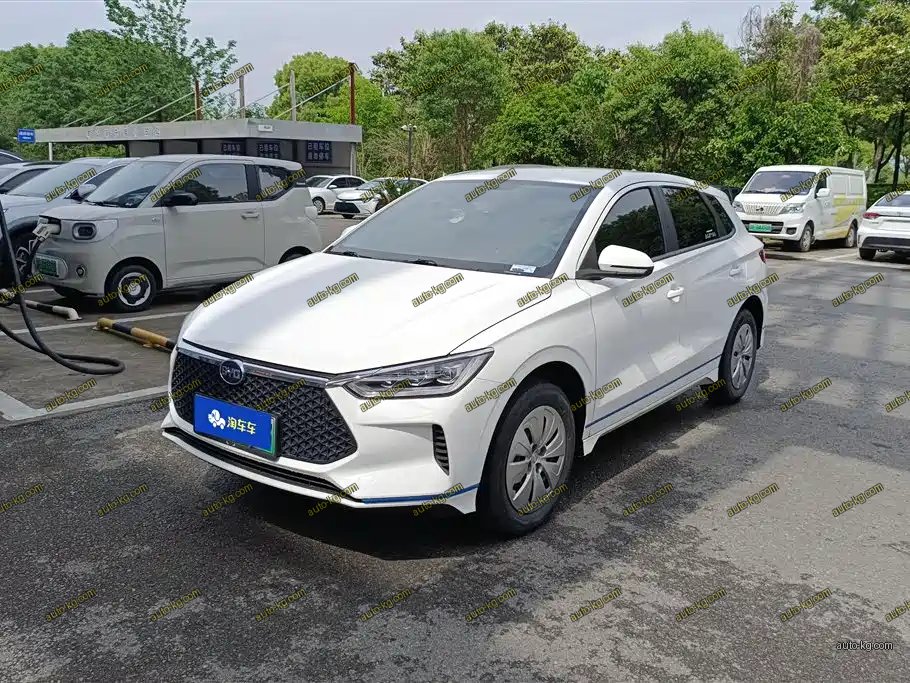 BYD e2 2021