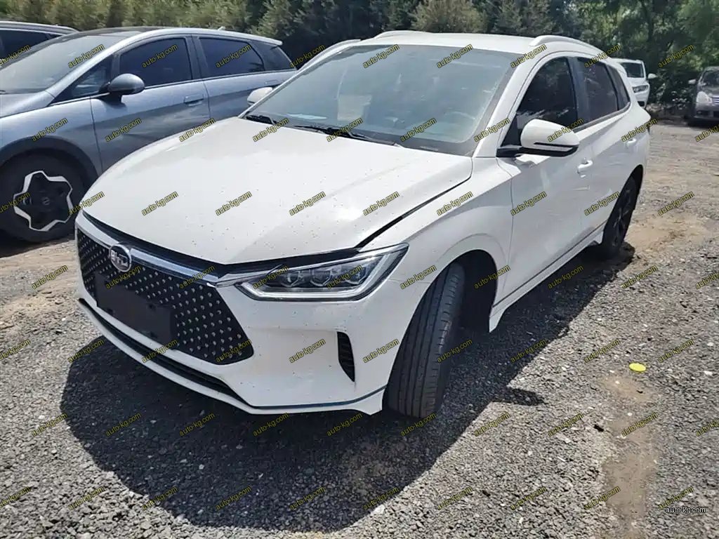 BYD e2 2021