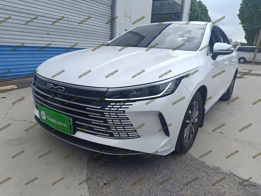 BYD Destroyer 05 2023