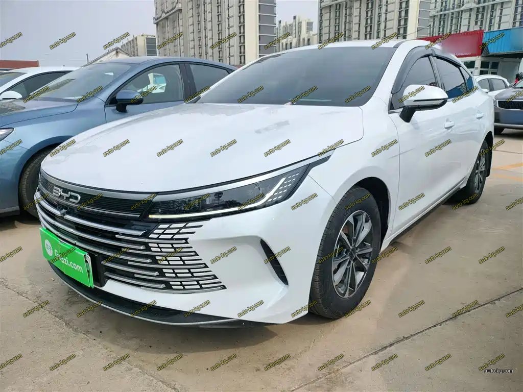 BYD Destroyer 05 2024