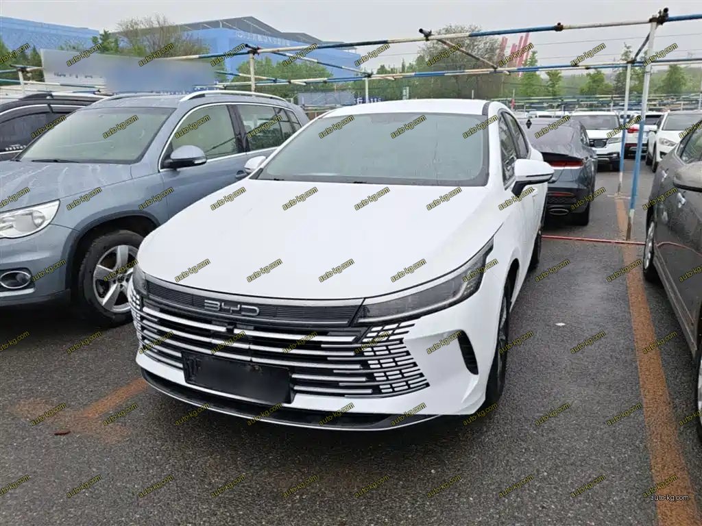 BYD Destroyer 05 2024