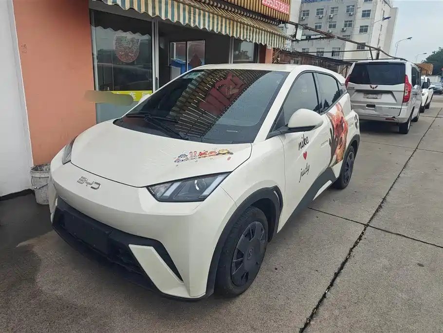 BYD Seagull 2024
