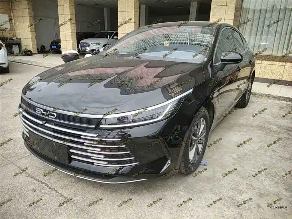 BYD Destroyer 05 2024