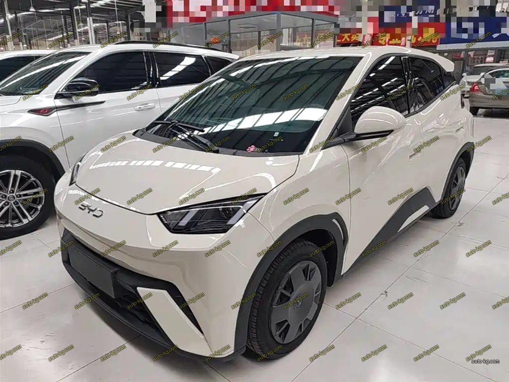 BYD Seagull 2025