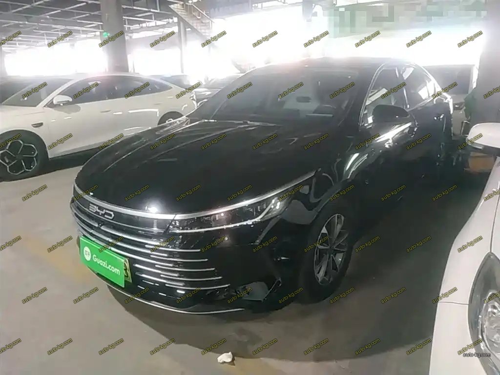 BYD Destroyer 05 2024
