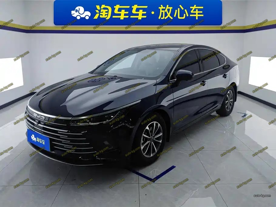 BYD Destroyer 05 2024
