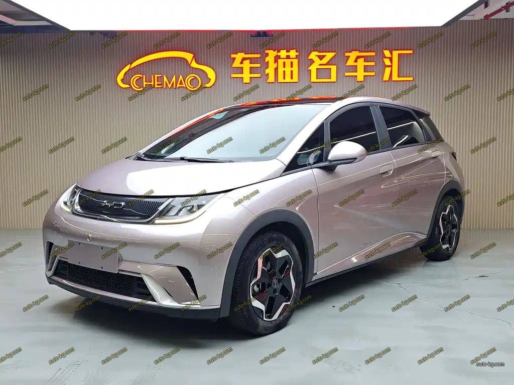 BYD Dolphin 2022