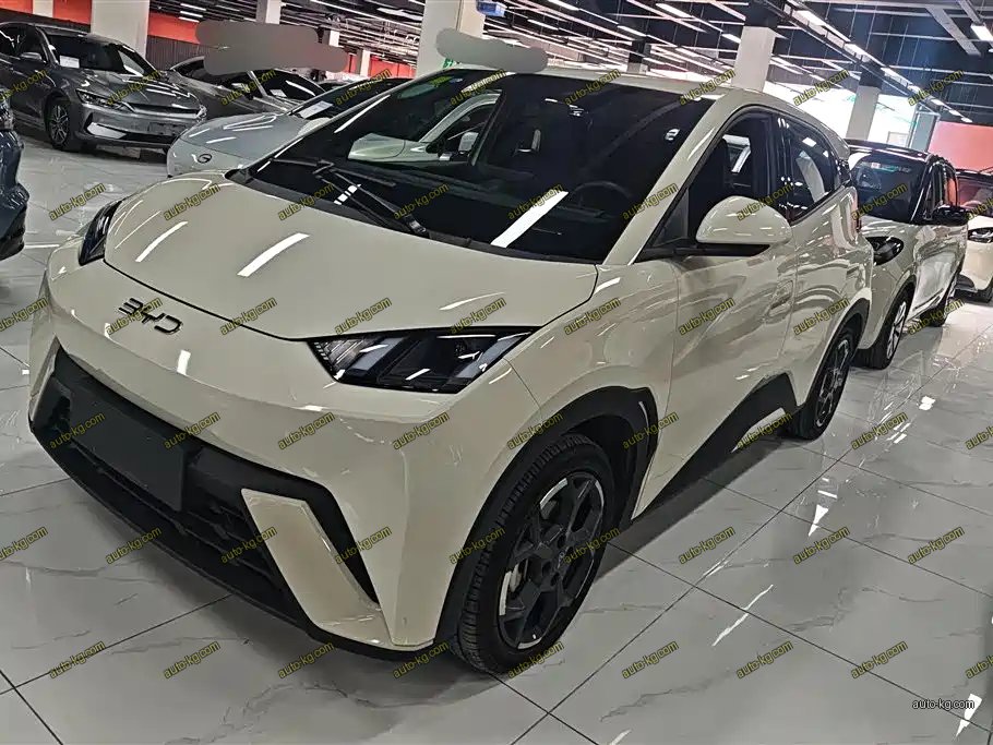 BYD Seagull 2024