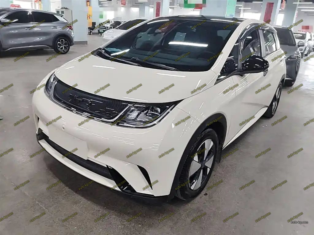 BYD Dolphin 2023