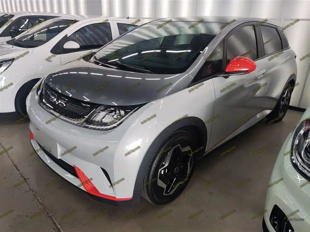 BYD Dolphin 2021
