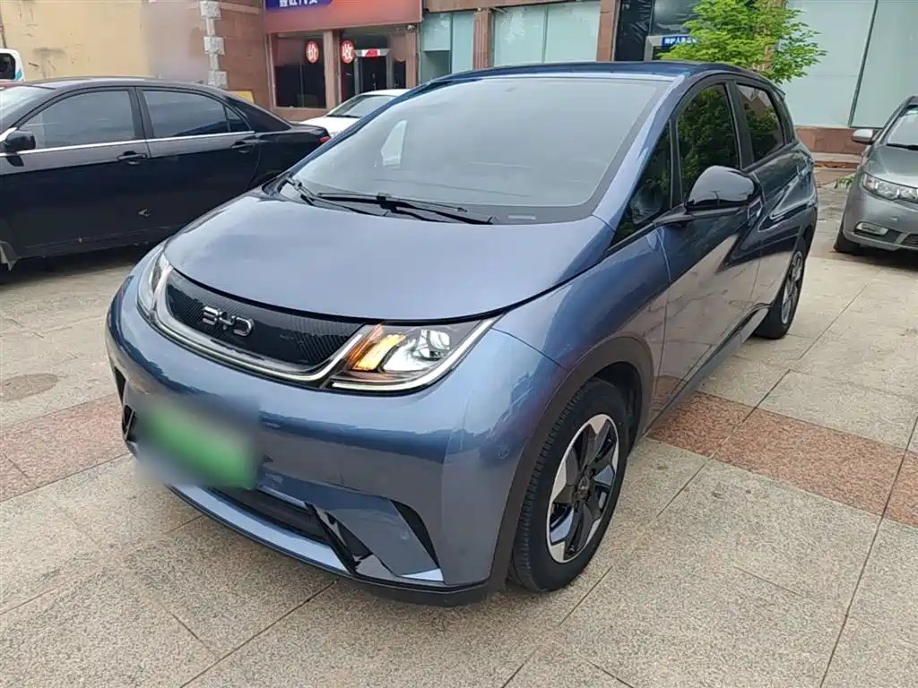 BYD Dolphin 2024