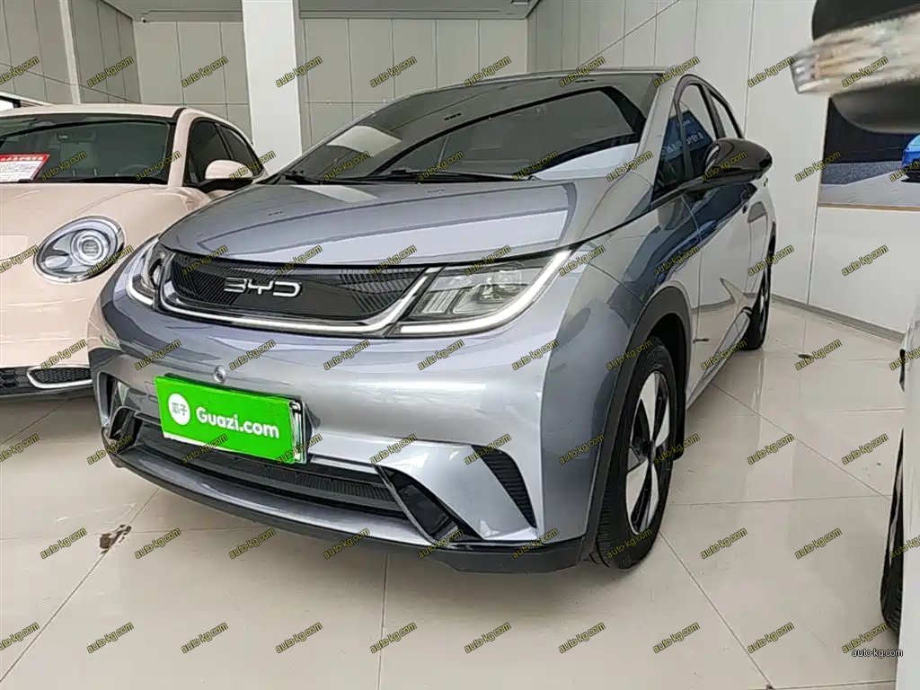 BYD Dolphin 2024
