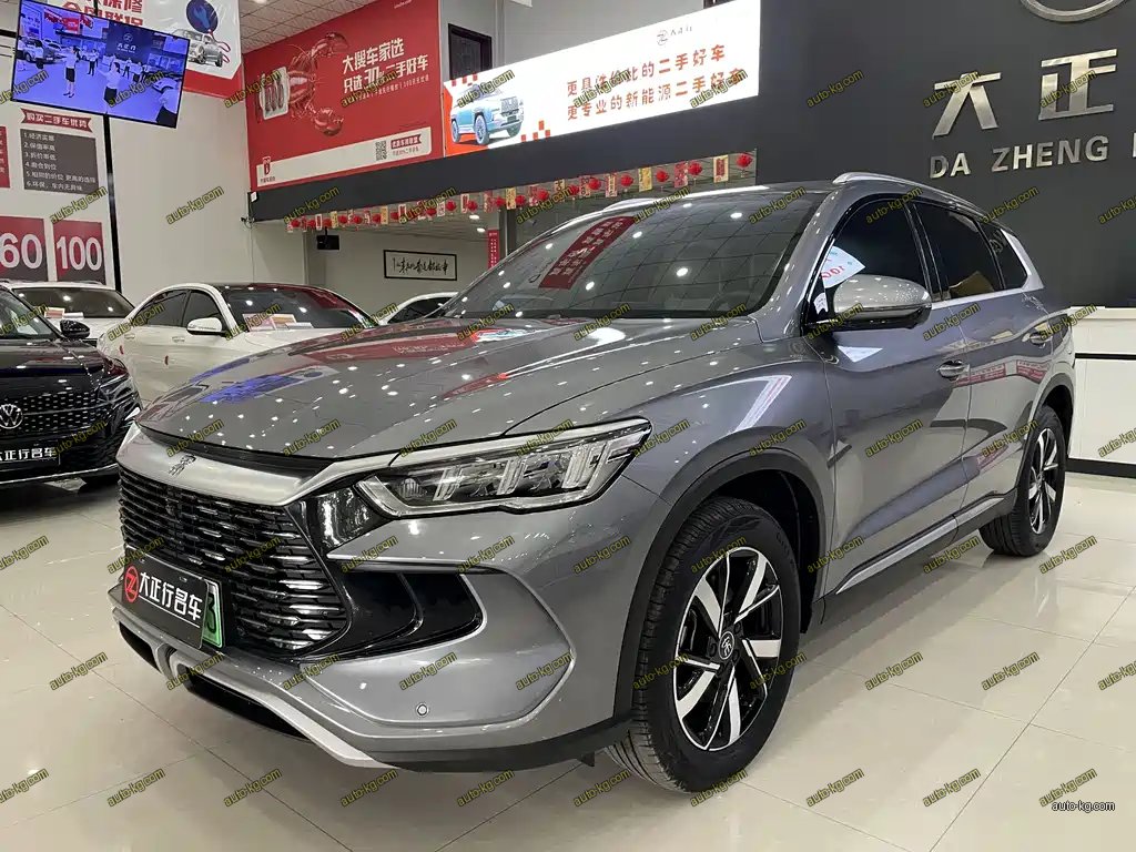 BYD Pro New Energy 2024