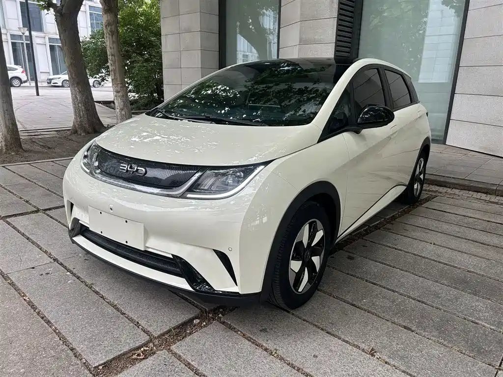 BYD Dolphin 2024
