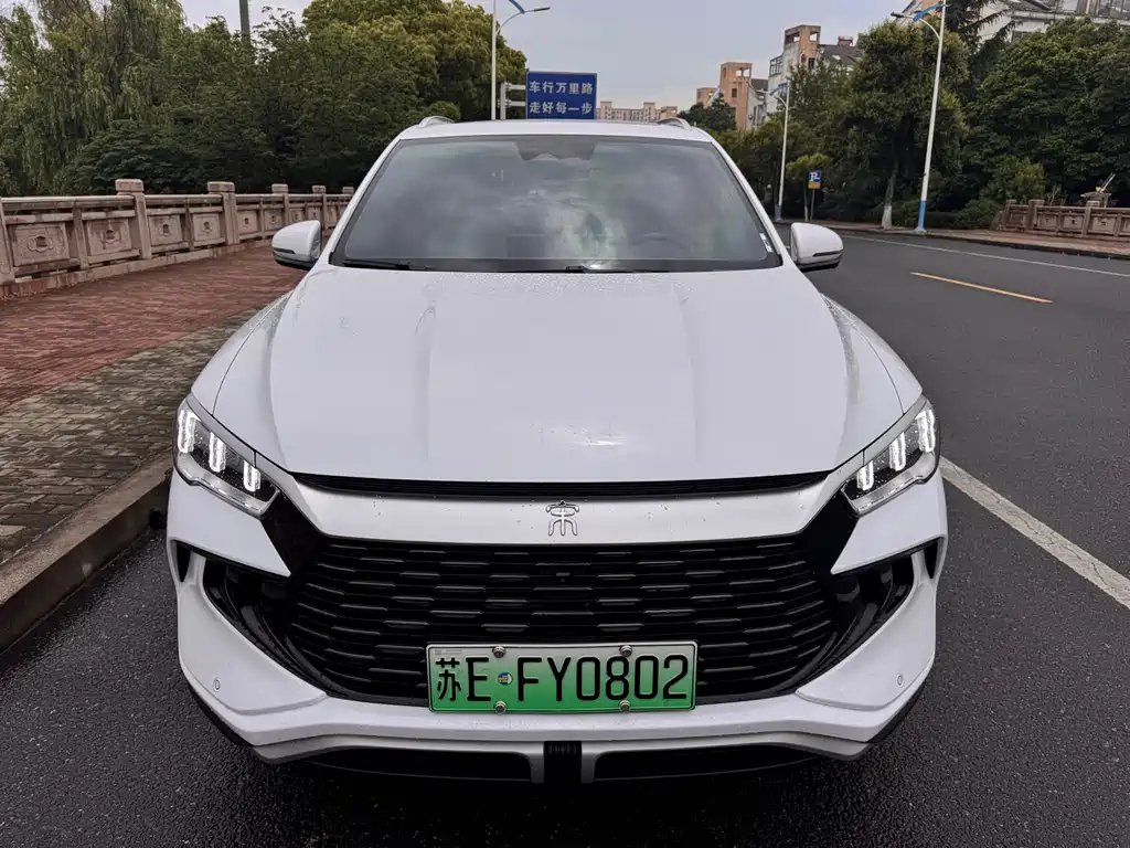 BYD Pro New Energy 2024
