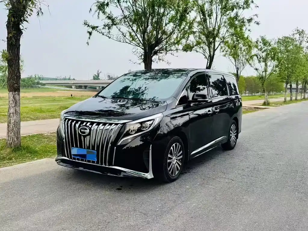 GAC Motor Trumpchi M8 2020 — фото 1 из 9