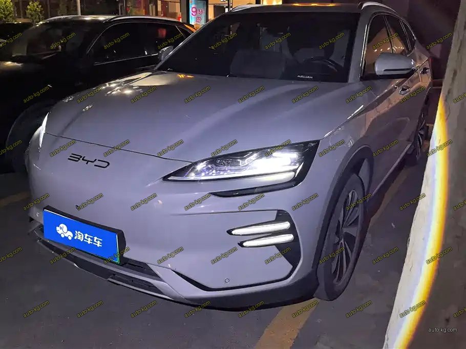 BYD PLUS New Energy 2024