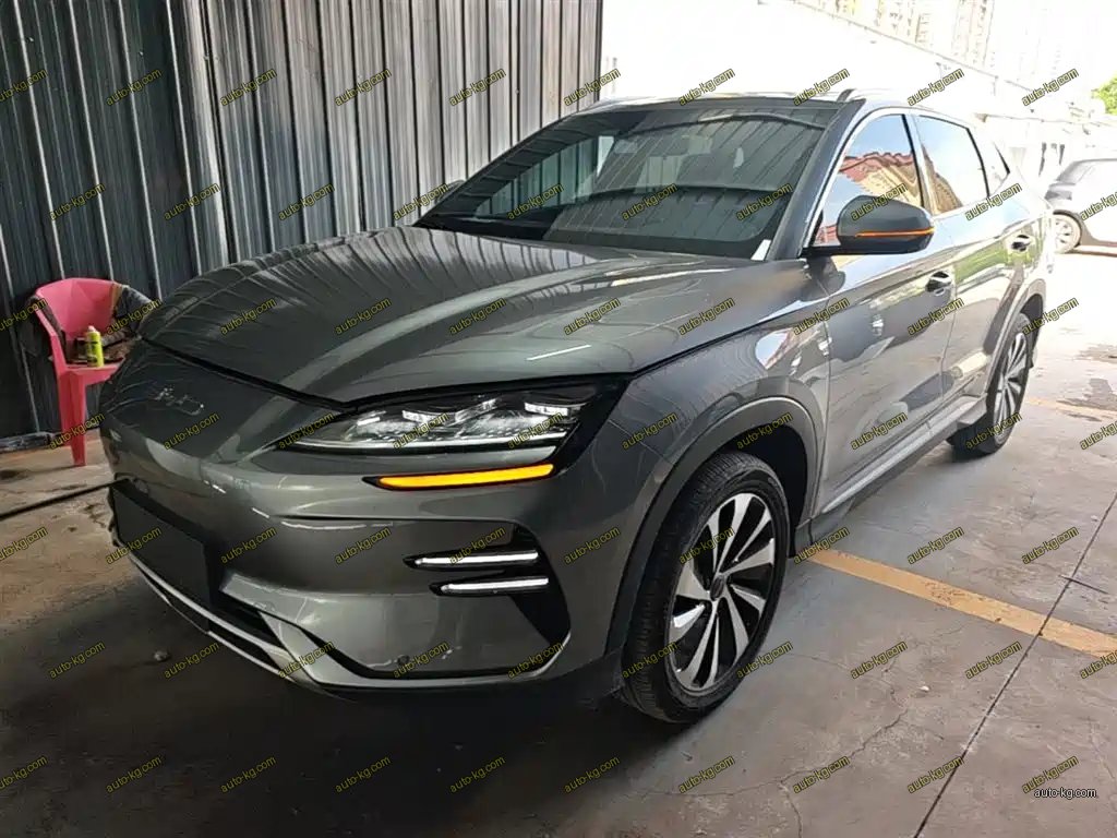 BYD PLUS New Energy 2024