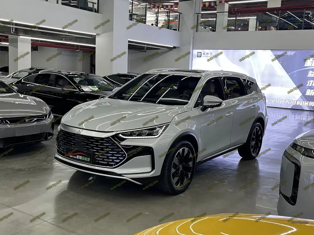 BYD Tang New Energy 2024