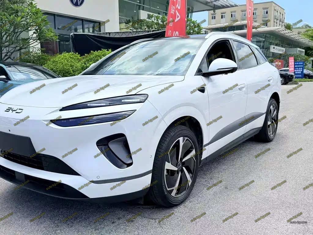 BYD 海狮06 2025