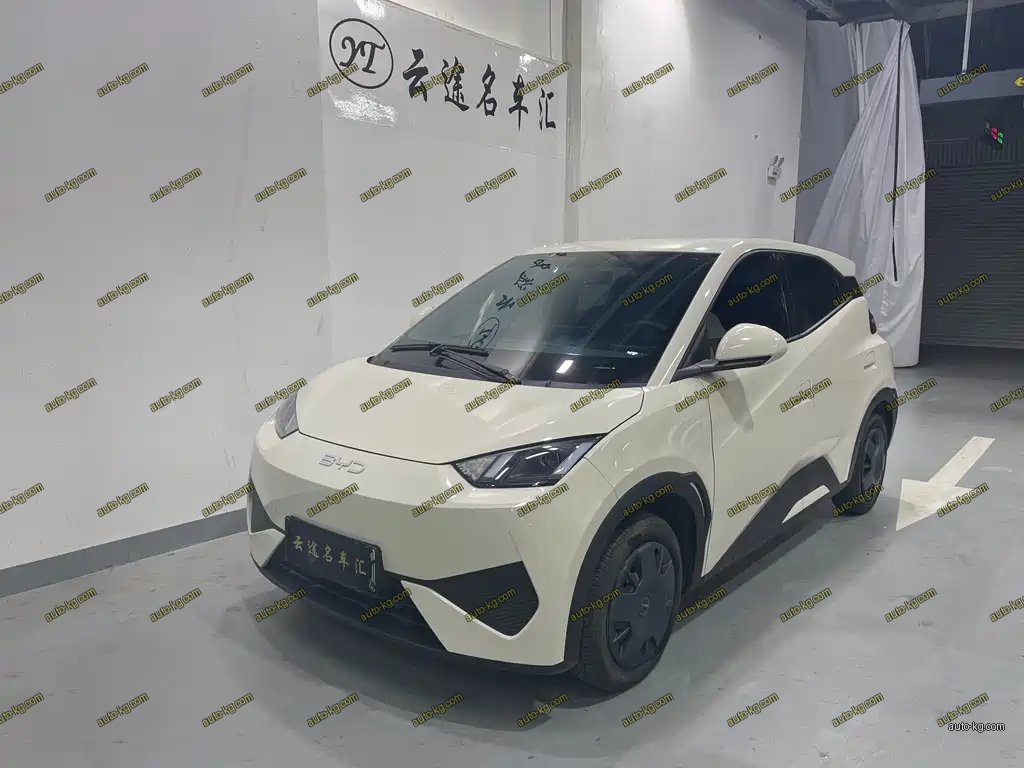 BYD Seagull 2025