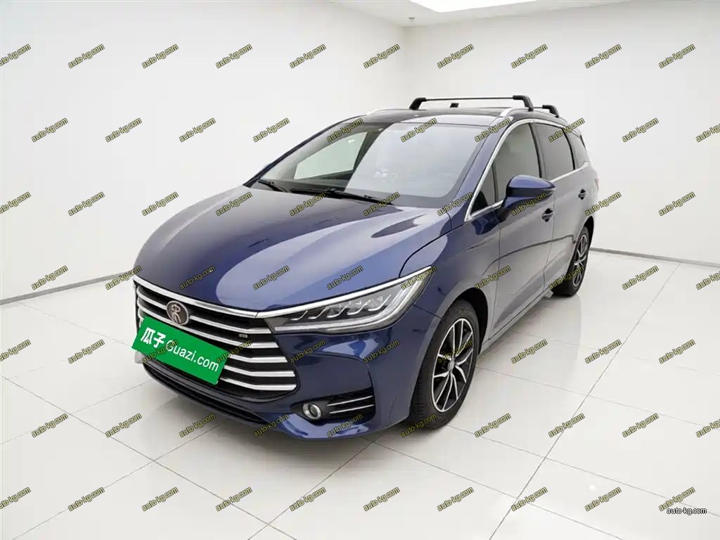 BYD MAX 2019