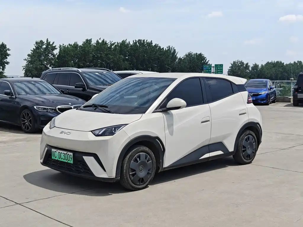 BYD Seagull 2024