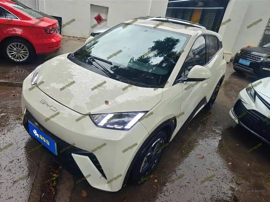 BYD Seagull 2024