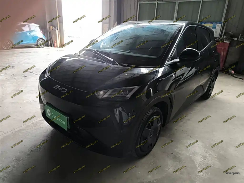 BYD Seagull 2025