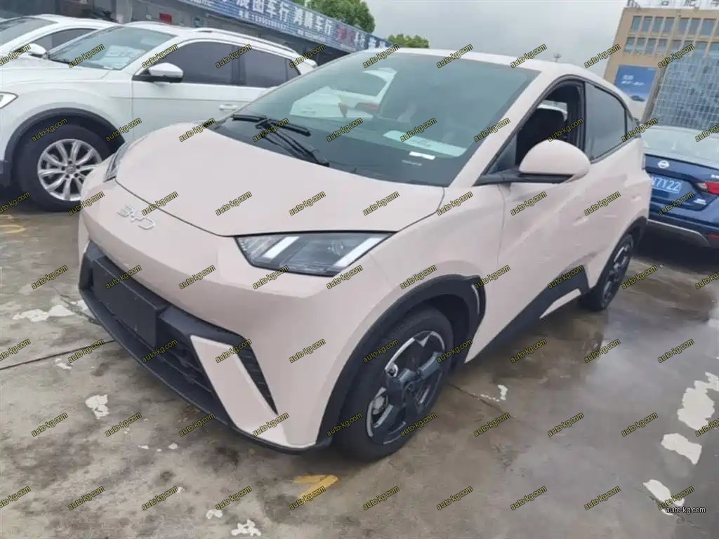BYD Seagull 2024