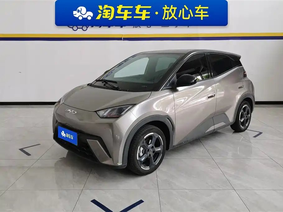 BYD Seagull 2024