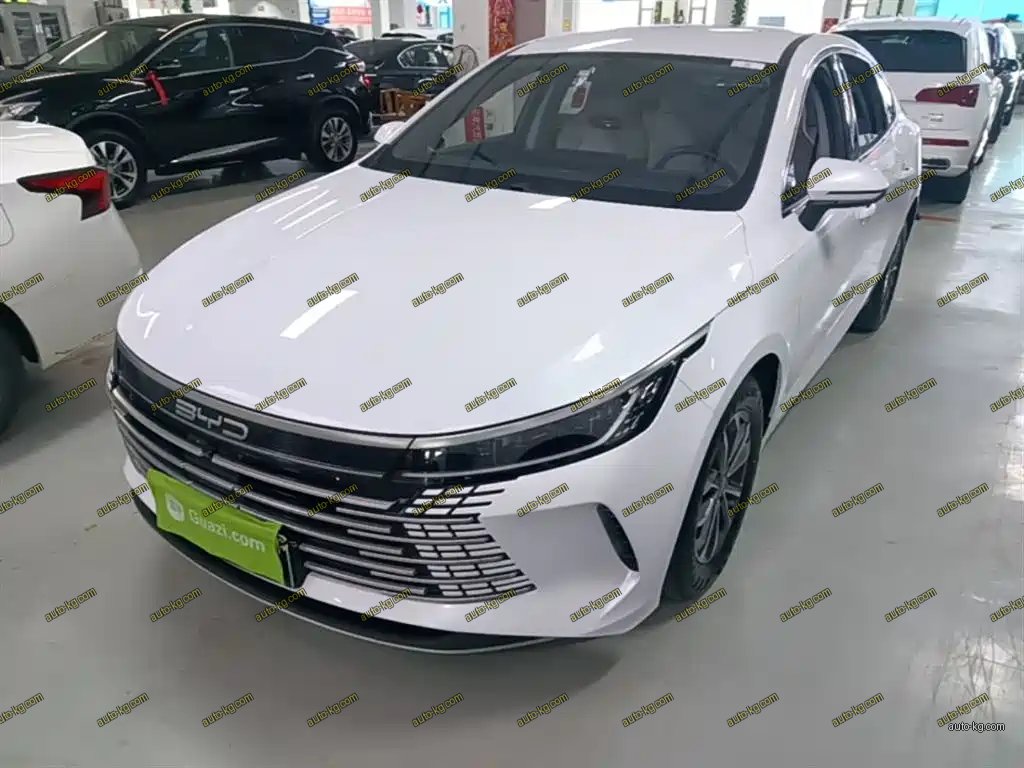 BYD Destroyer 05 2024