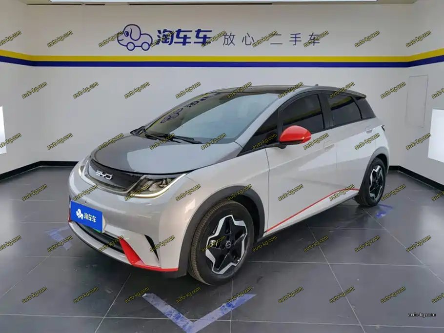 BYD Dolphin 2022