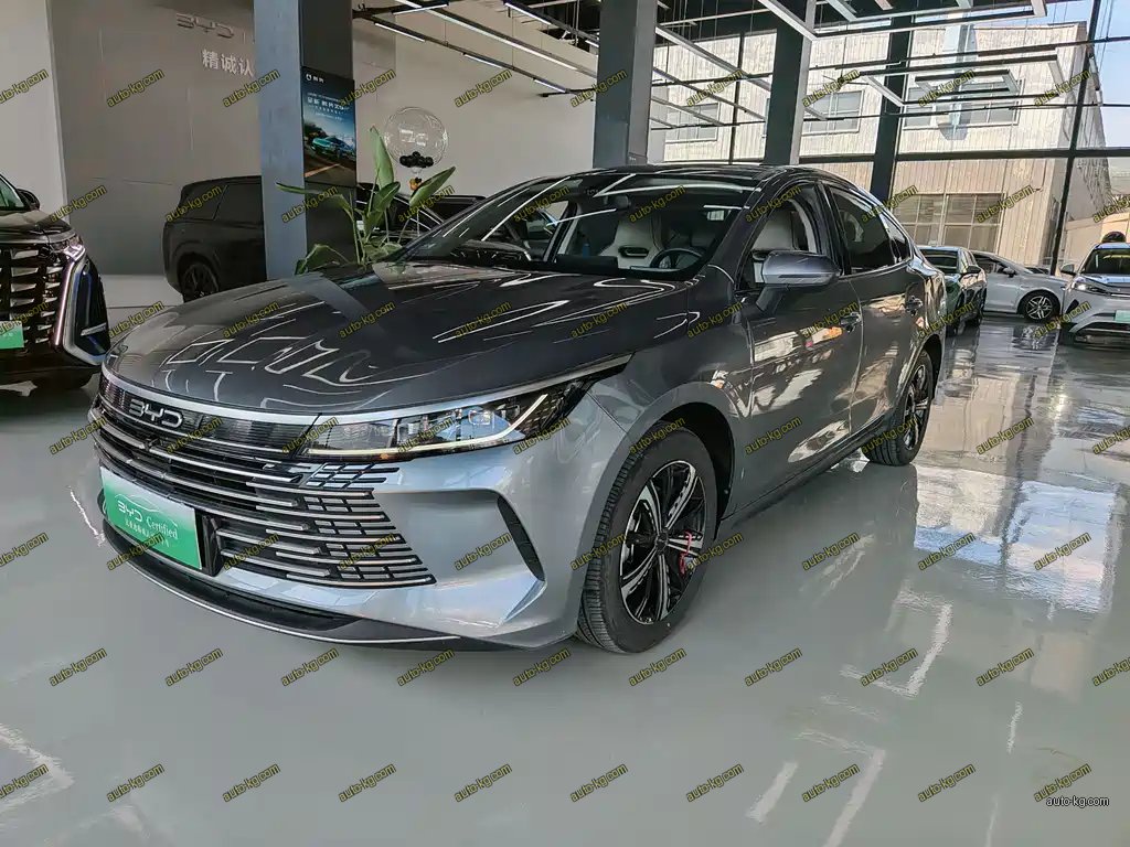 BYD Destroyer 05 2024