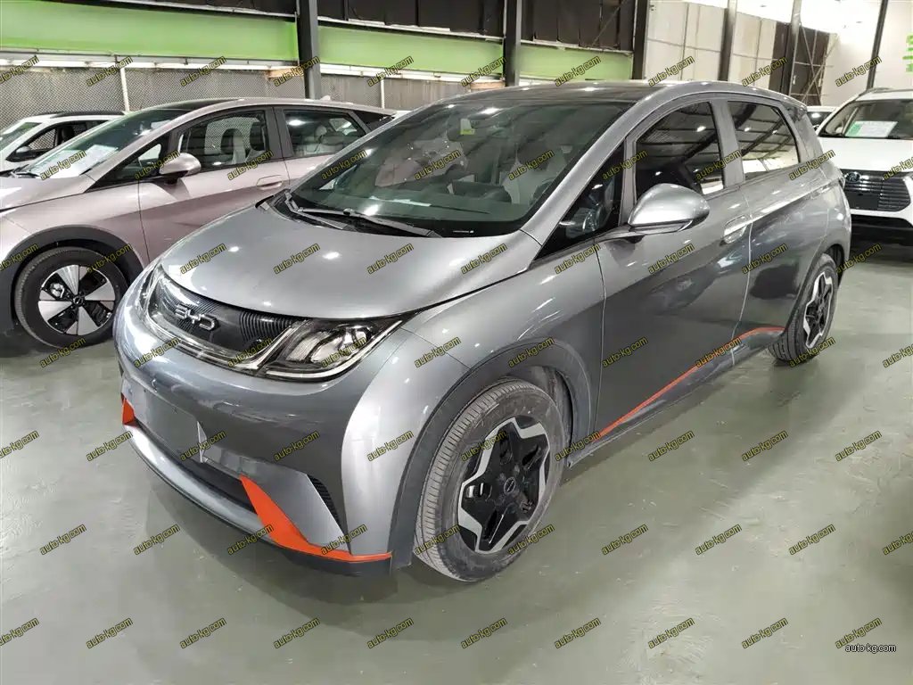 BYD Dolphin 2022