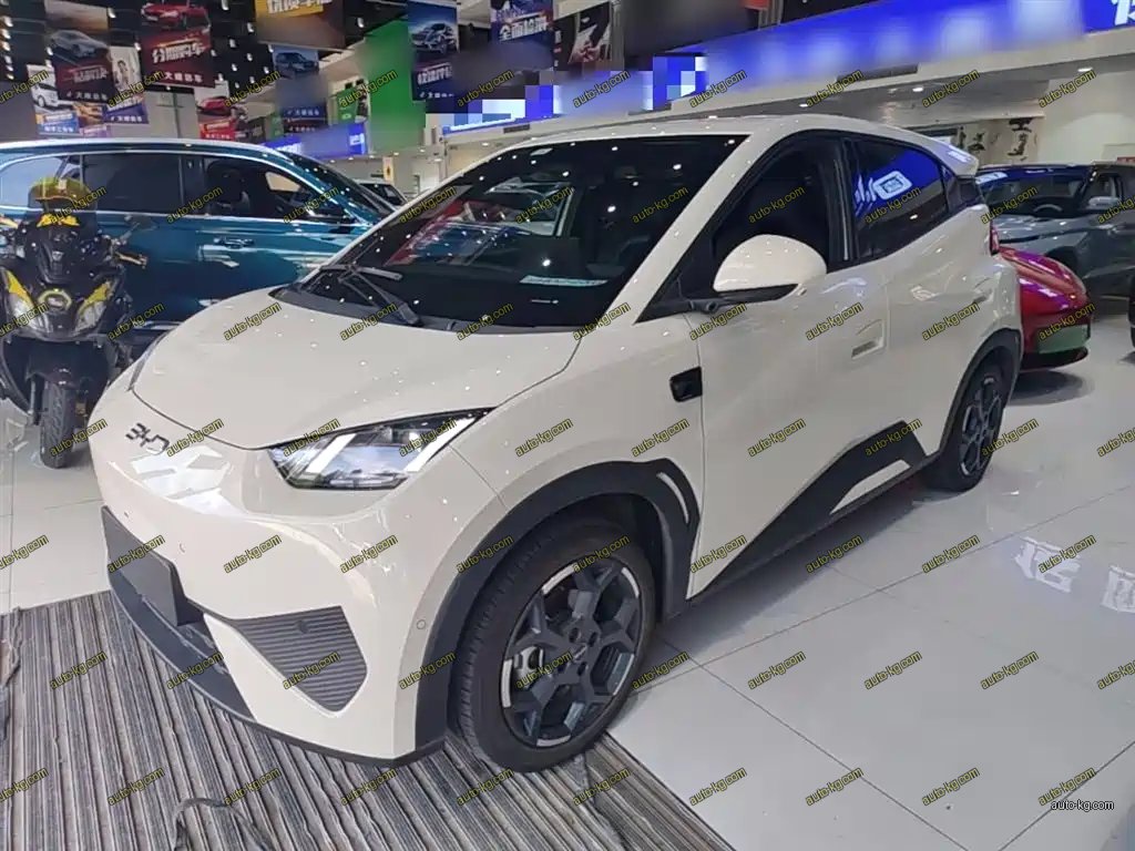 BYD Seagull 2025